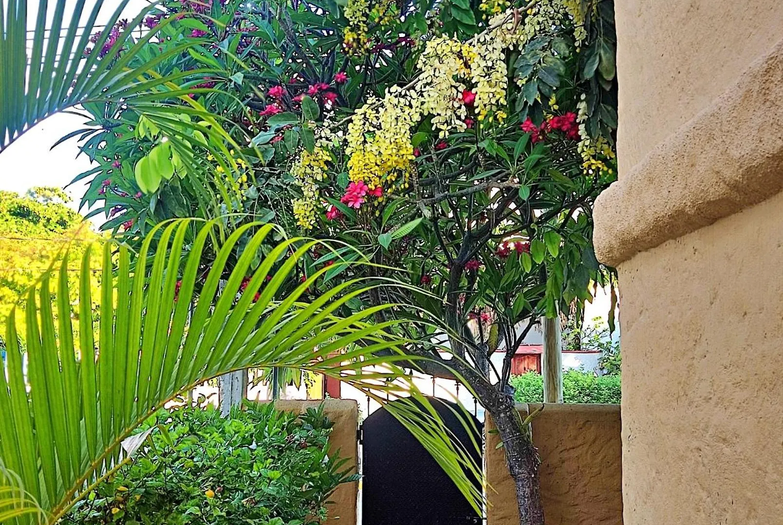 Studio Norte, Casa Brisamar Puerto Morelos